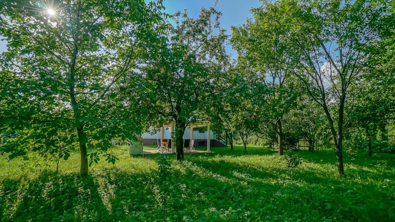 Vila Luna Comarnic Zewnętrze zdjęcie